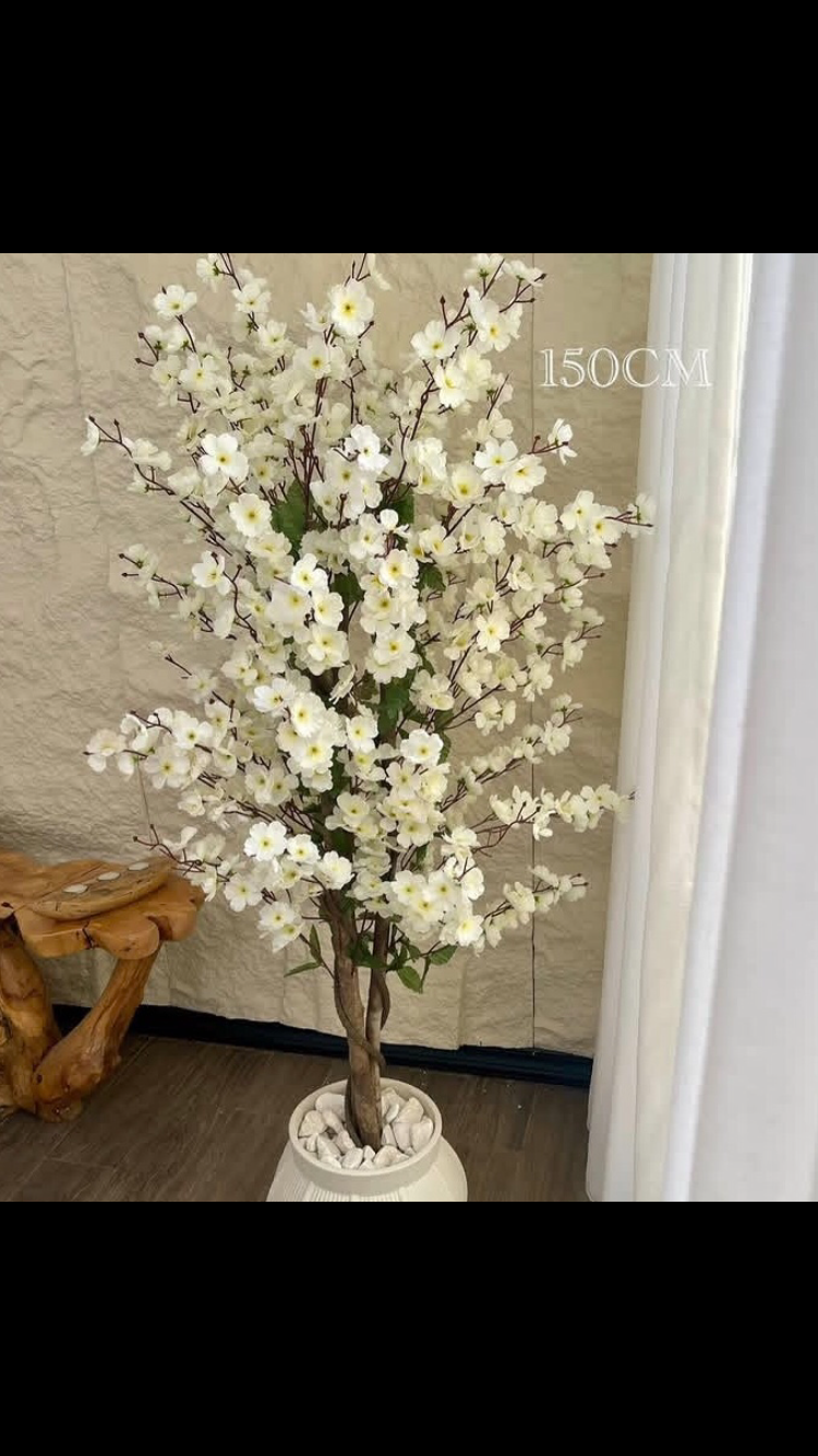 درختچه شکوفه