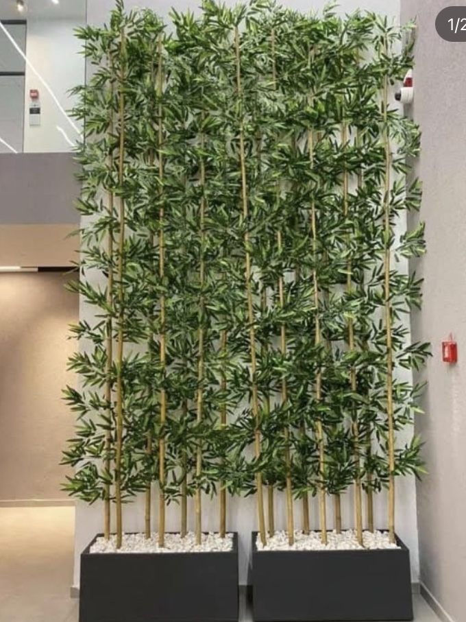 درختچه شکوفه در ابعاد مختلف